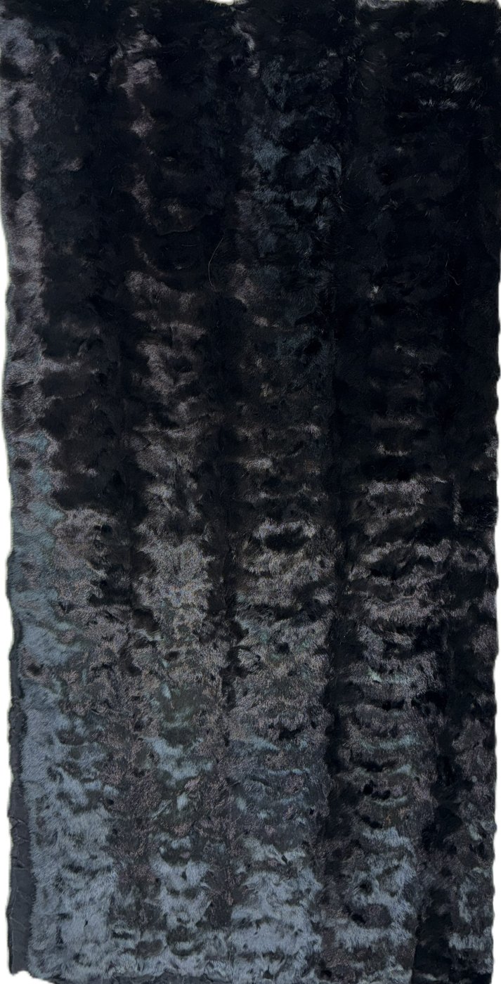 Black Mink Head