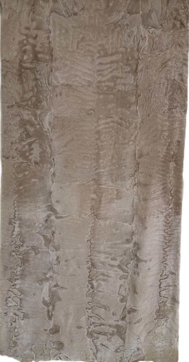 Camel Swakara Skin Plate