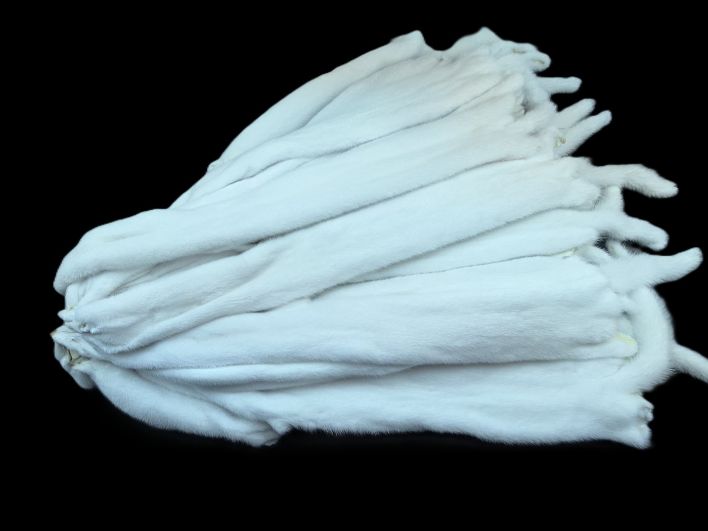 White Mink Skin